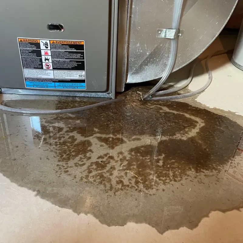 Appliance Leak Cleanup in Cody, WY